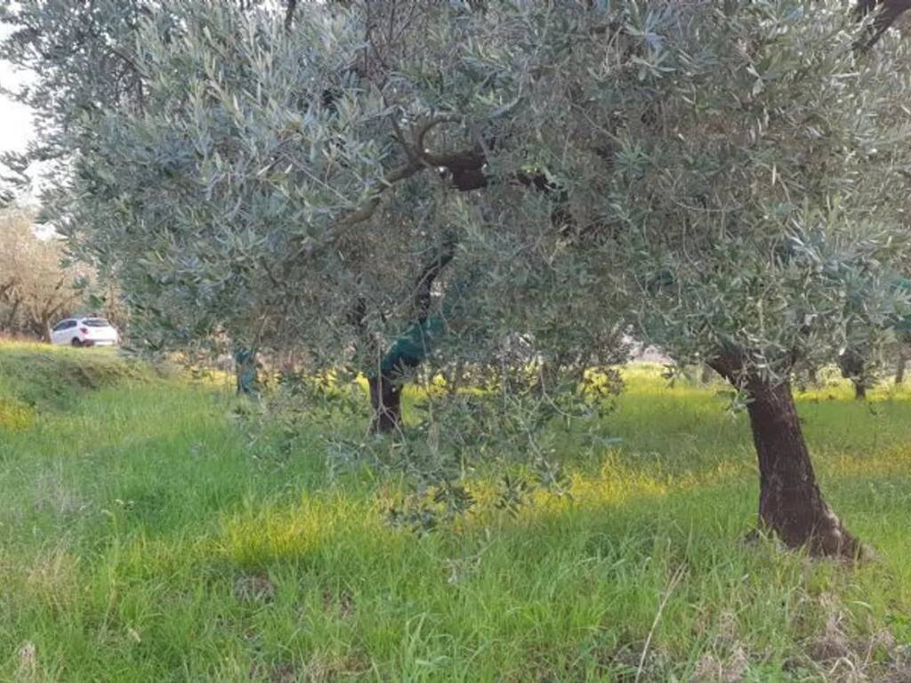 Terreno a Campagna in Via Vallegrini - Foto 4