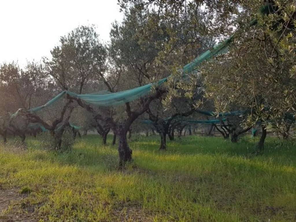 Terreno a Campagna in Via Vallegrini - Foto 5