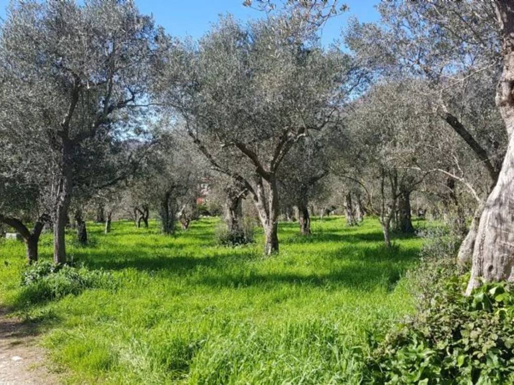 Terreno a Campagna in Via Materdomini - Foto 3