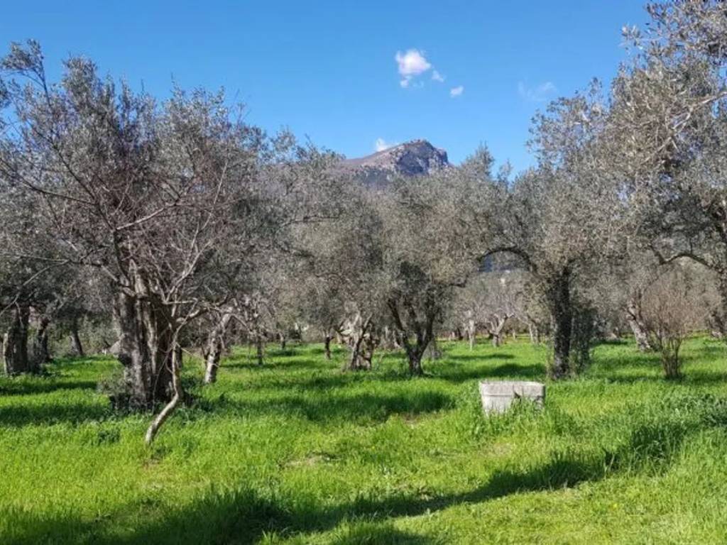 Terreno a Campagna in Via Materdomini - Foto 4
