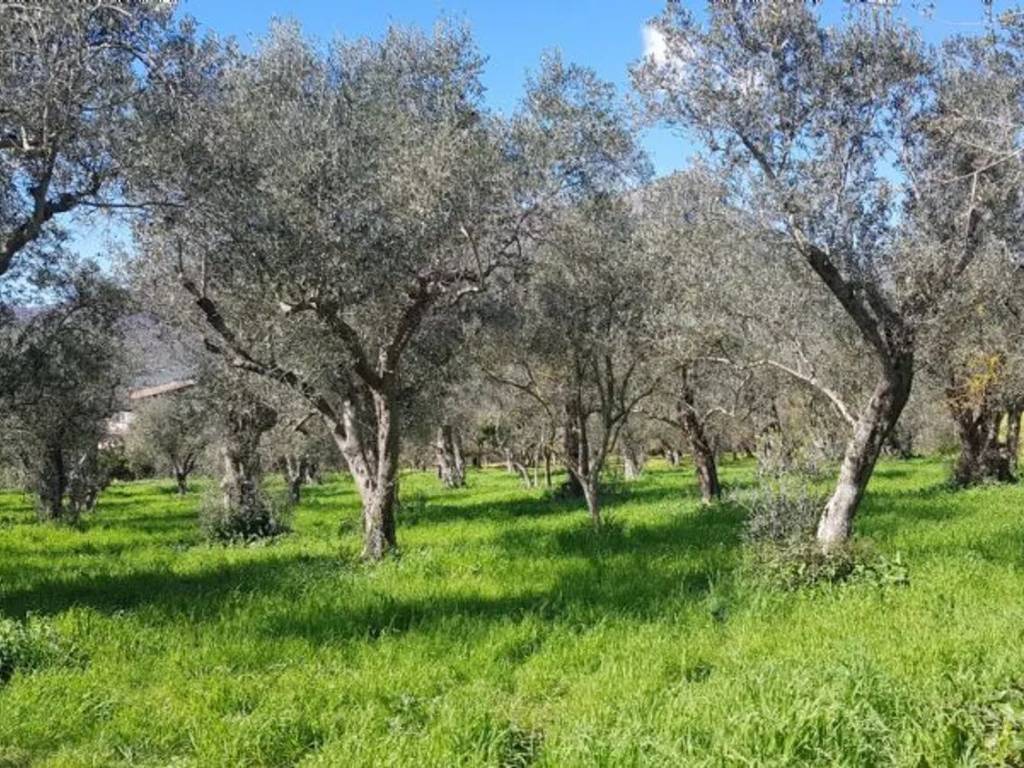 Terreno a Campagna in Via Materdomini - Foto 5