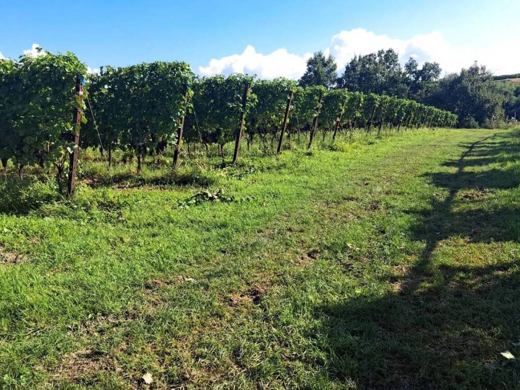 Terreno a Bardolino in Via Marconi, 48 - Foto 2