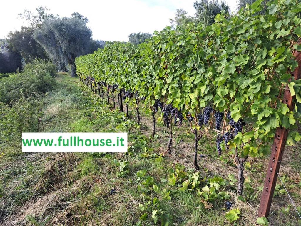 Terreno a Bardolino in Via Marconi, 48 - Foto 3