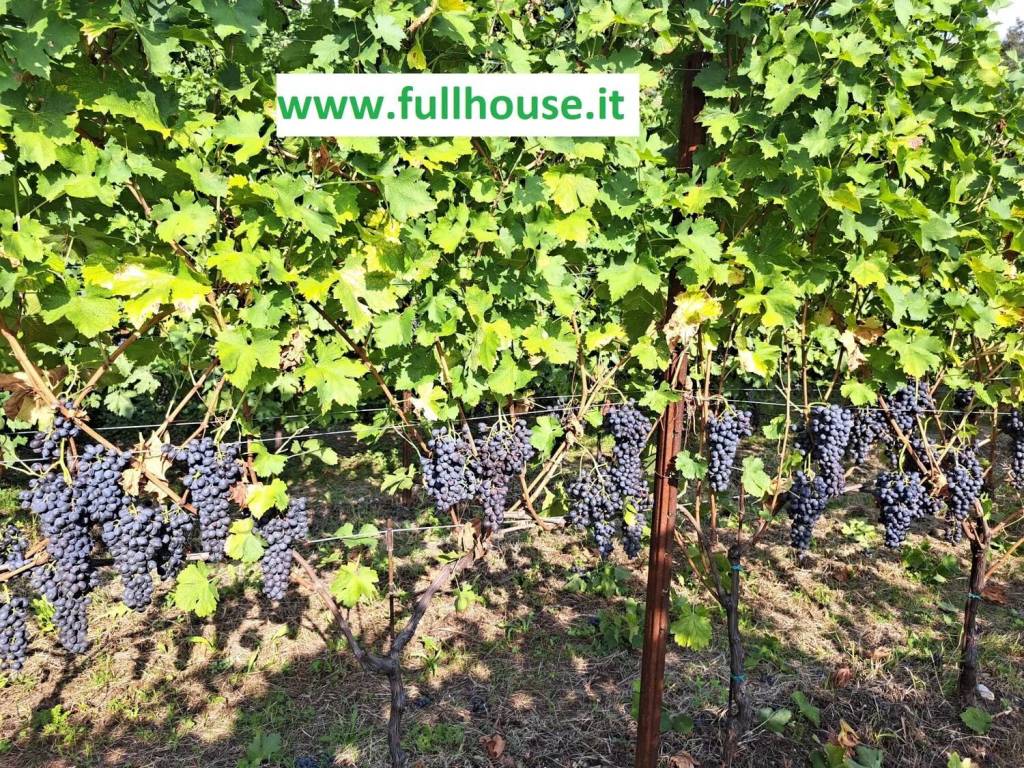 Terreno a Bardolino in Via Marconi, 48 - Foto 4