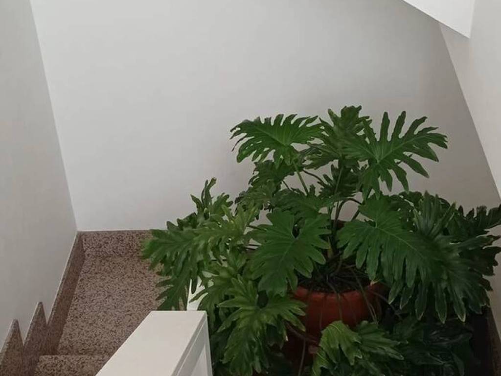 Appartamento a Monteroni di lecce in Via Piave, 73 - Foto 4
