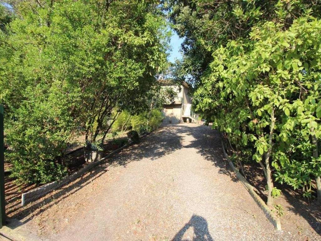 Rustico / casale a Castagneto carducci - Foto 3