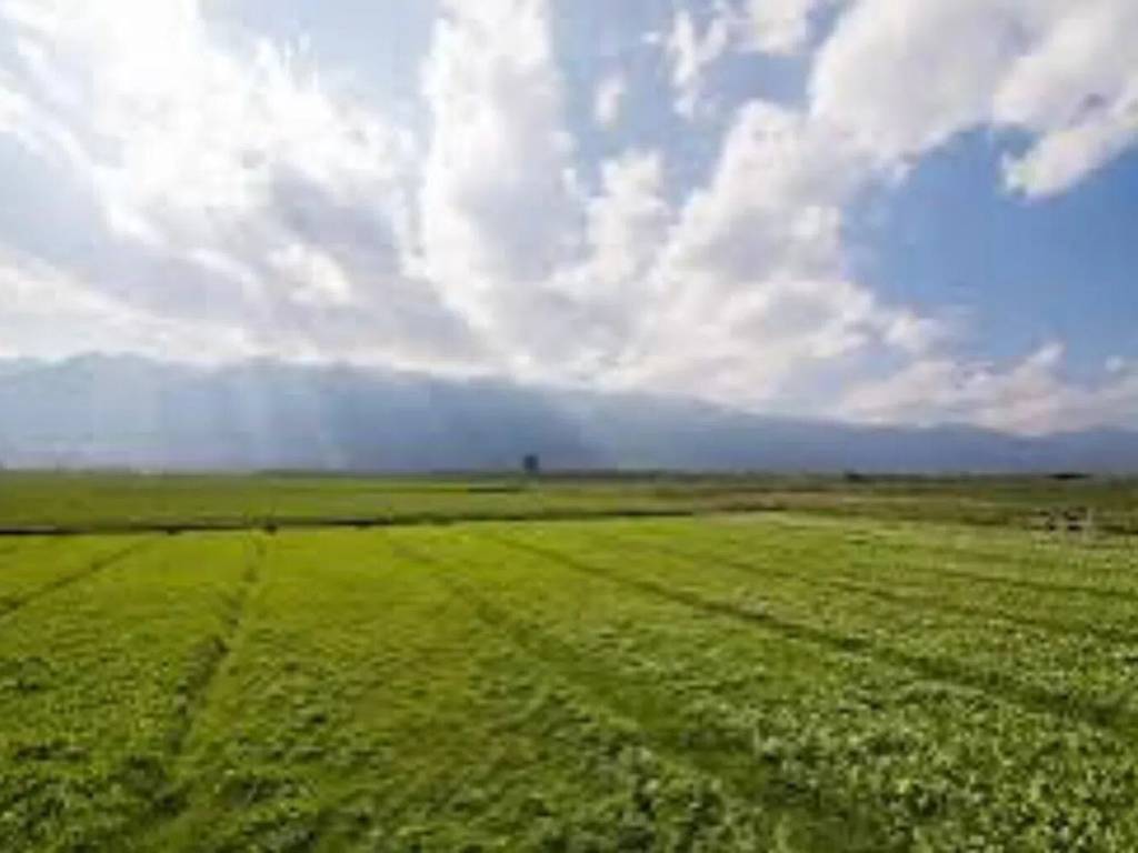 Terreno a Pegognaga in Strada Vo, 30 - Foto 2