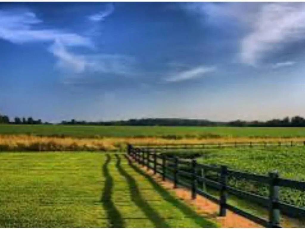 Terreno a Pegognaga in Strada Vo, 30 - Foto 3