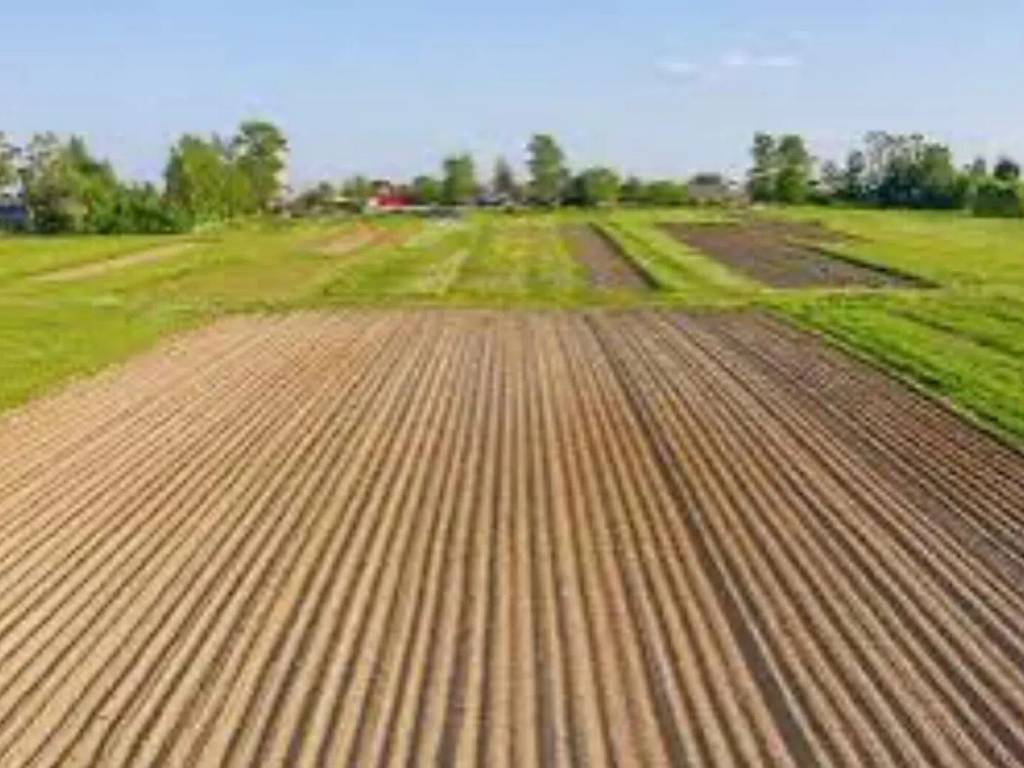 Terreno a Pegognaga in Strada Vo, 30 - Foto 4