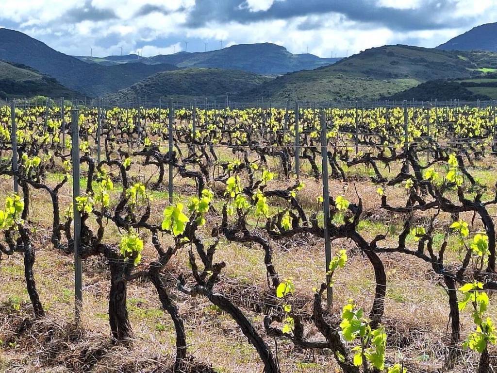 Rustico / casale a Sorso in Tres Montes - Foto 2