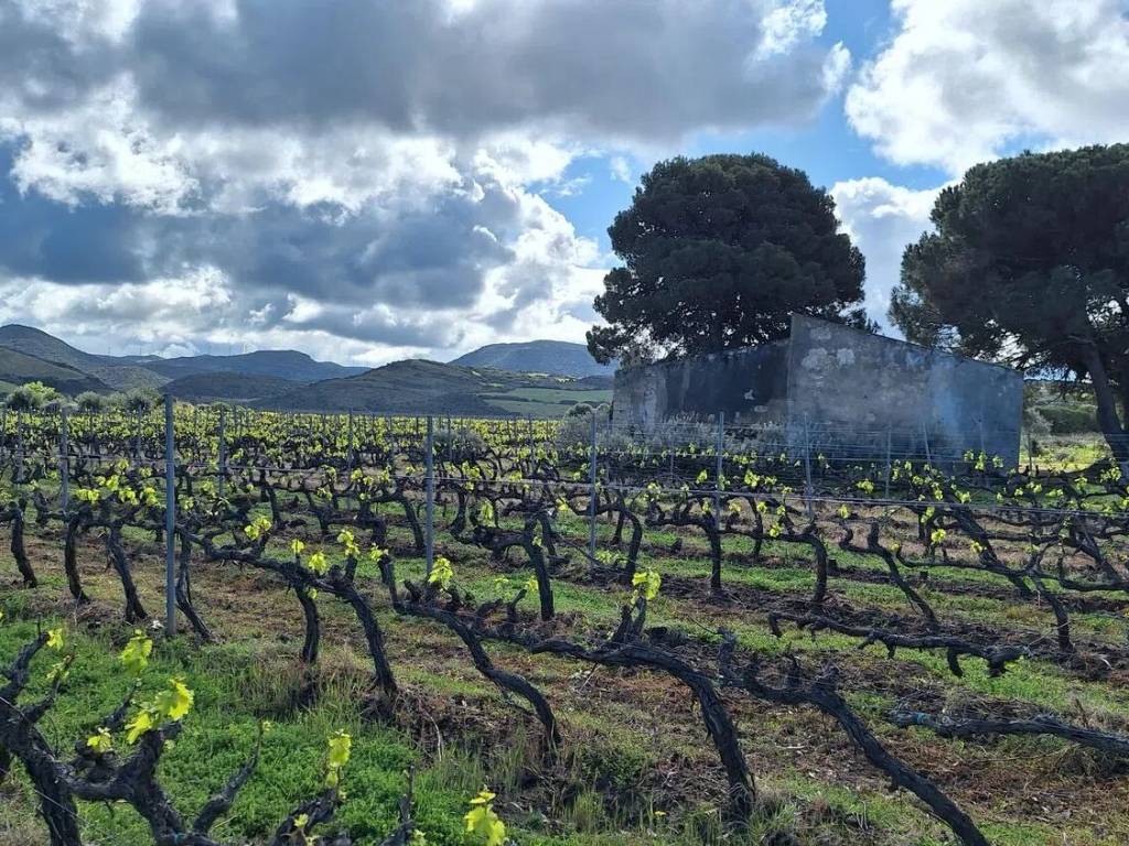 Rustico / casale a Sorso in Tres Montes - Foto 3