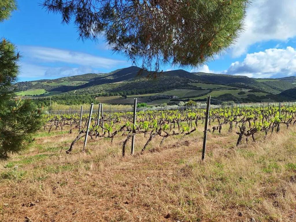 Rustico / casale a Sorso in Tres Montes - Foto 4