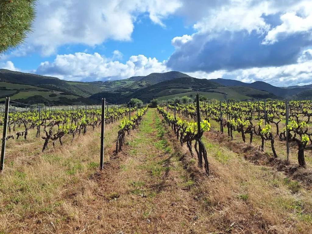 Rustico / casale a Sorso in Tres Montes - Foto 5