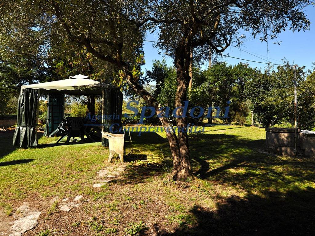 Villa a Fucecchio - Foto 5