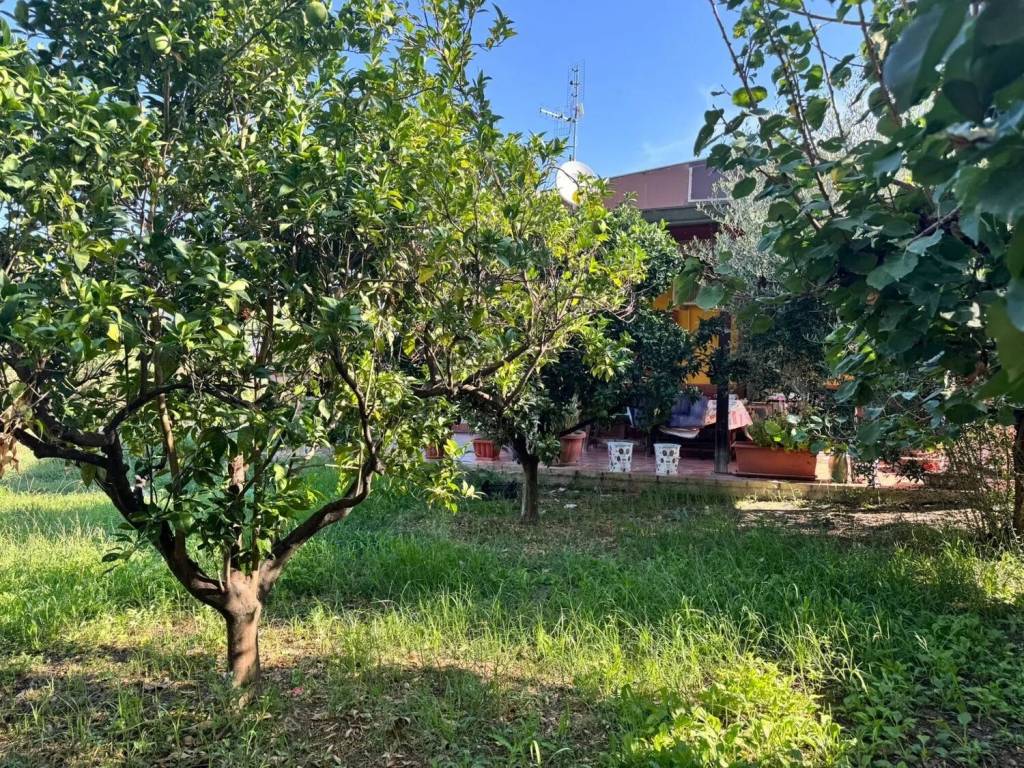 Villa a Bellizzi - Foto 3