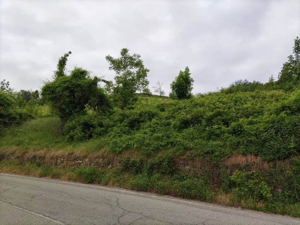 Terreno a Cavatore in Collina, Km 8 - Foto 3