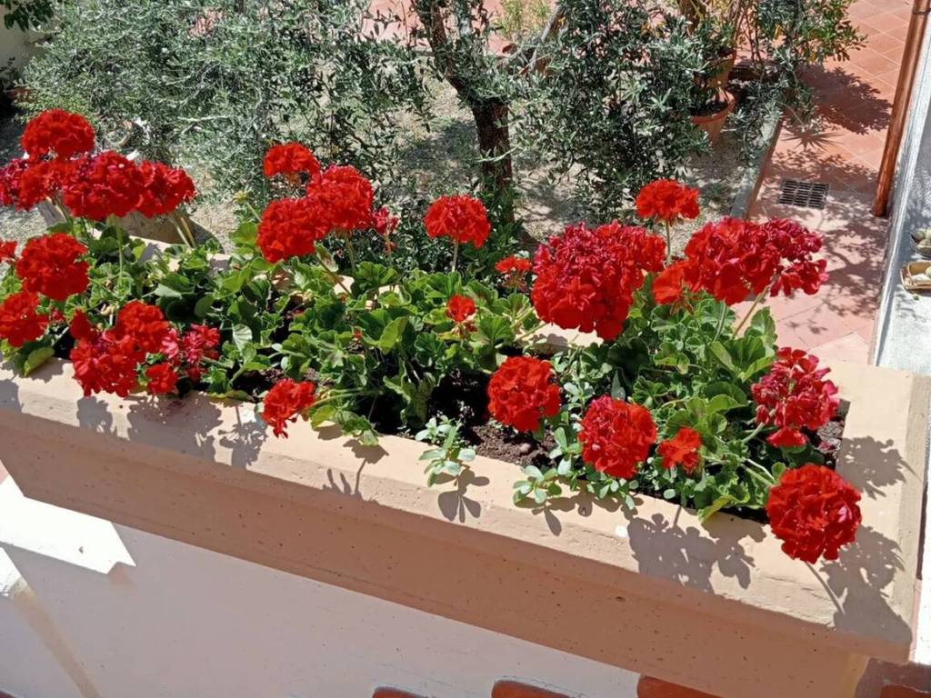 Villa a Carmignano in Via La Serra No Number - Foto 2