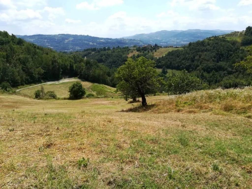 Rustico / casale a Bistagno - Foto 5