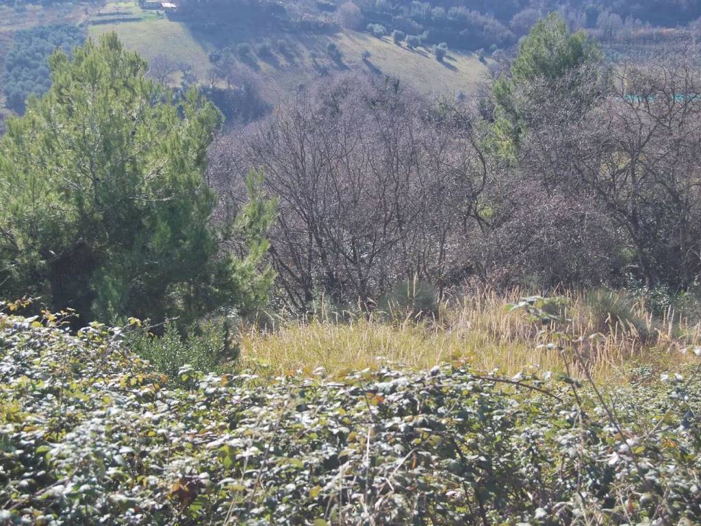 Terreno a Campofilone in Roma No Number - Foto 4