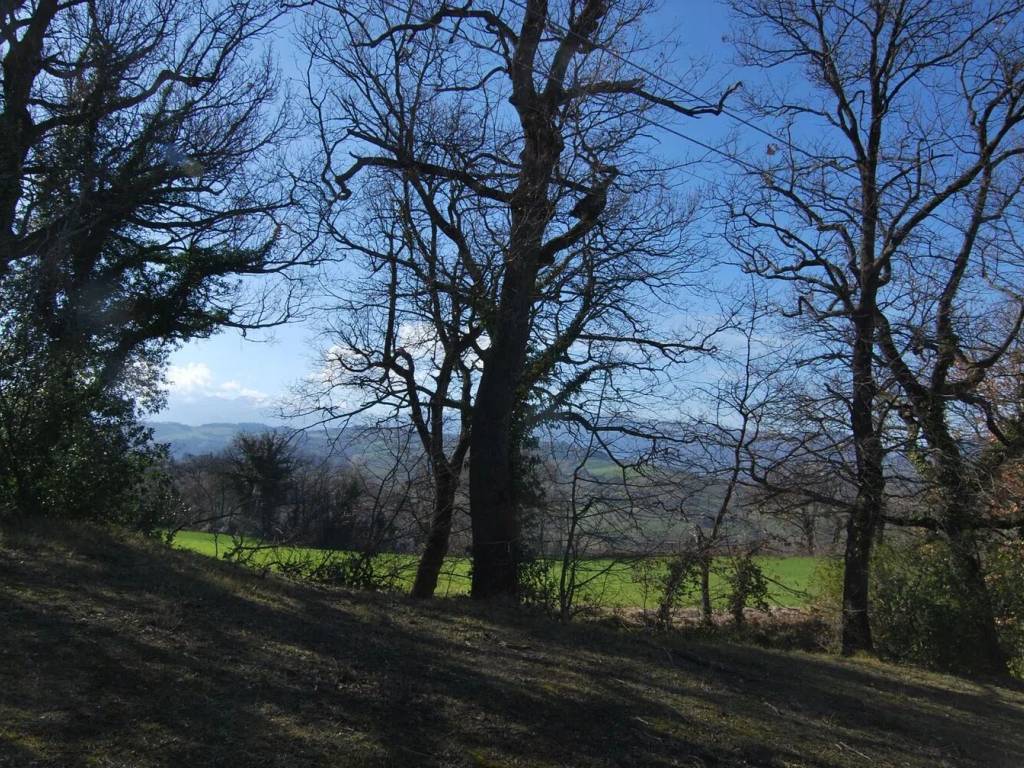 Villa a Tolentino in Sp60, 5 A - Foto 2