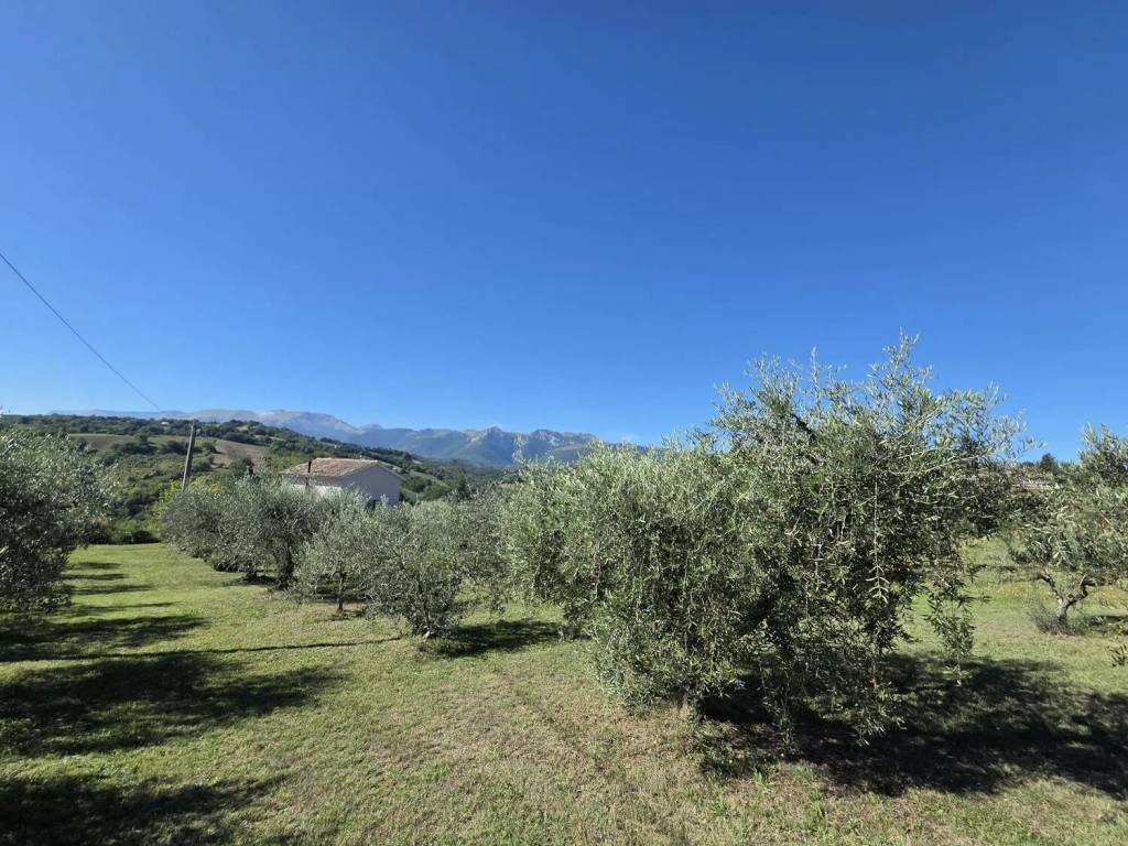 Rustico / casale a San ginesio in Via Roma No Number - Foto 2