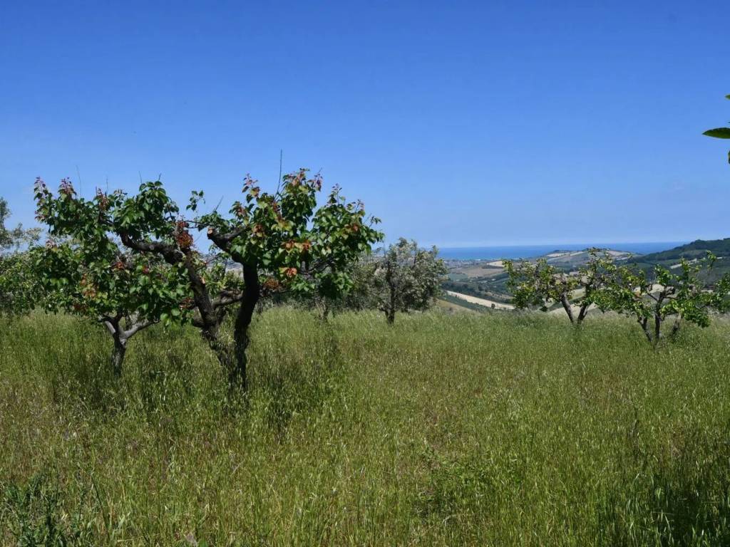 Rustico / casale a Monterubbiano in Via Roma S.N.C. - Foto 3