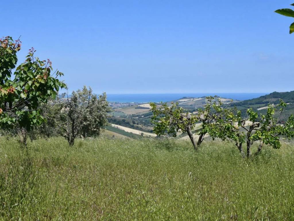 Rustico / casale a Monterubbiano in Via Roma S.N.C. - Foto 5