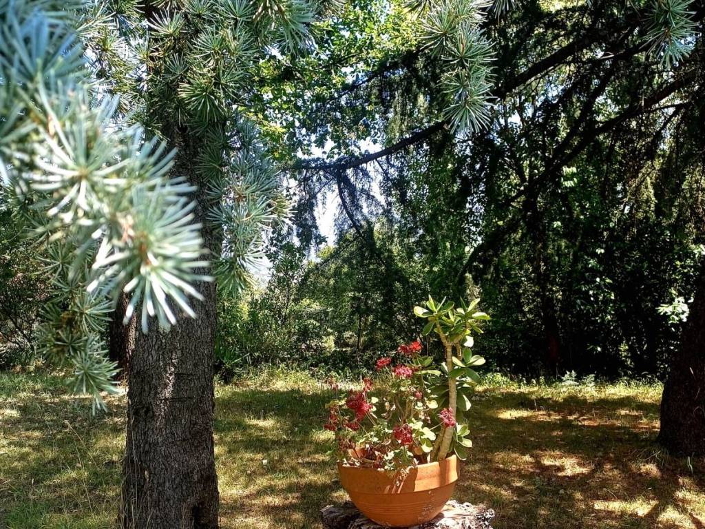 Villa a Giffoni sei casali in Via Serroni - Foto 5