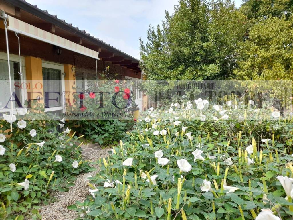 Villa a Alessandria in VIA OSTARIETTA - Foto 3