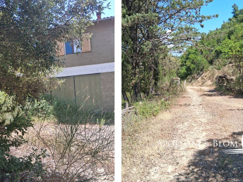 Rustico / casale a Murlo - Foto 5