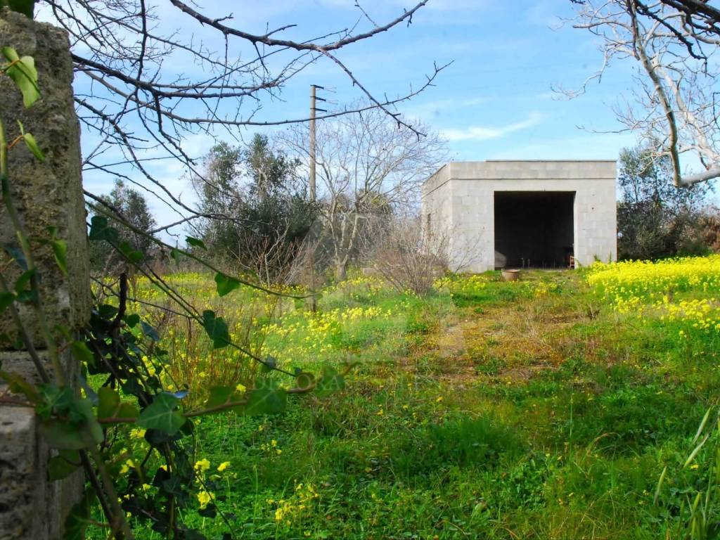 Terreno a Alessano in Strada Vicinale Monticarusi - Foto 2