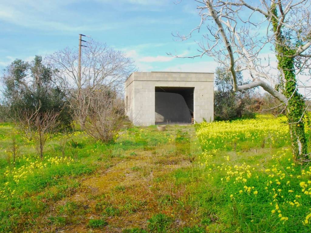 Terreno a Alessano in Strada Vicinale Monticarusi - Foto 3