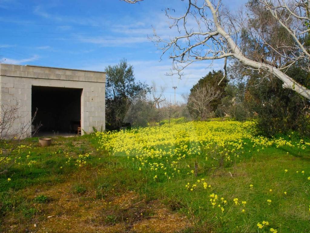 Terreno a Alessano in Strada Vicinale Monticarusi - Foto 4