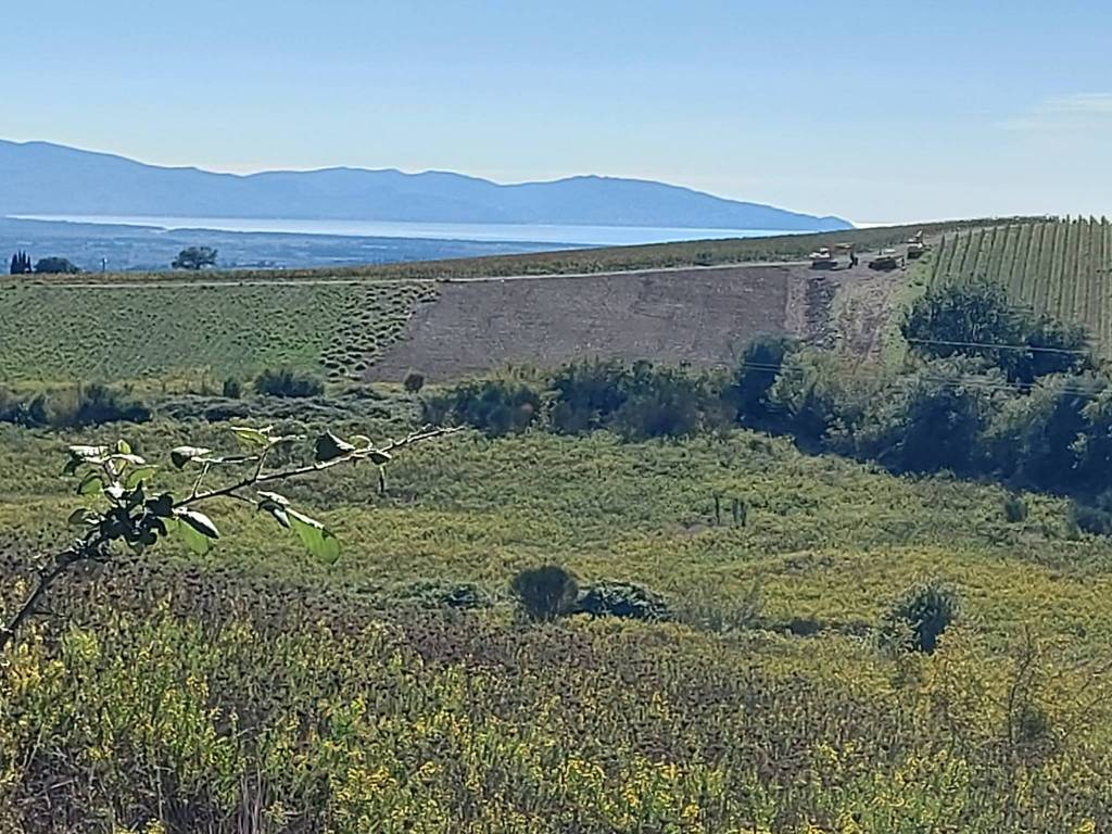 Terreno a Magliano in toscana in Località Sterpeti - Foto 3