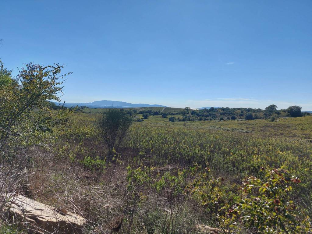 Terreno a Magliano in toscana in Località Sterpeti - Foto 4