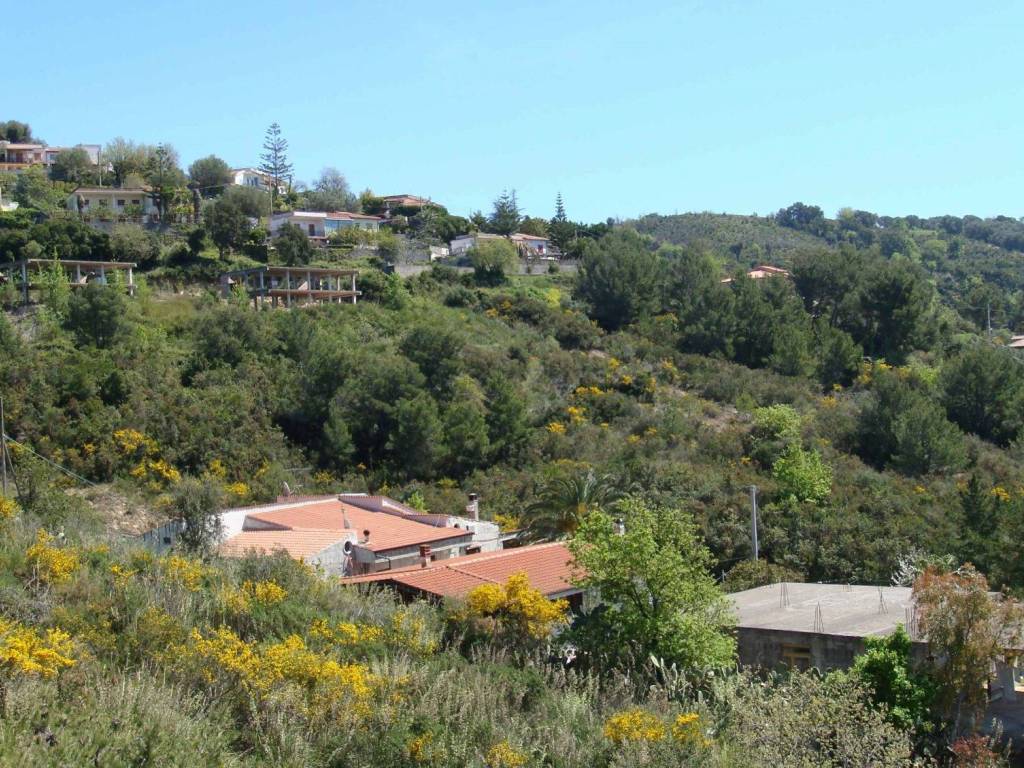 Terreno a Centola - Foto 2