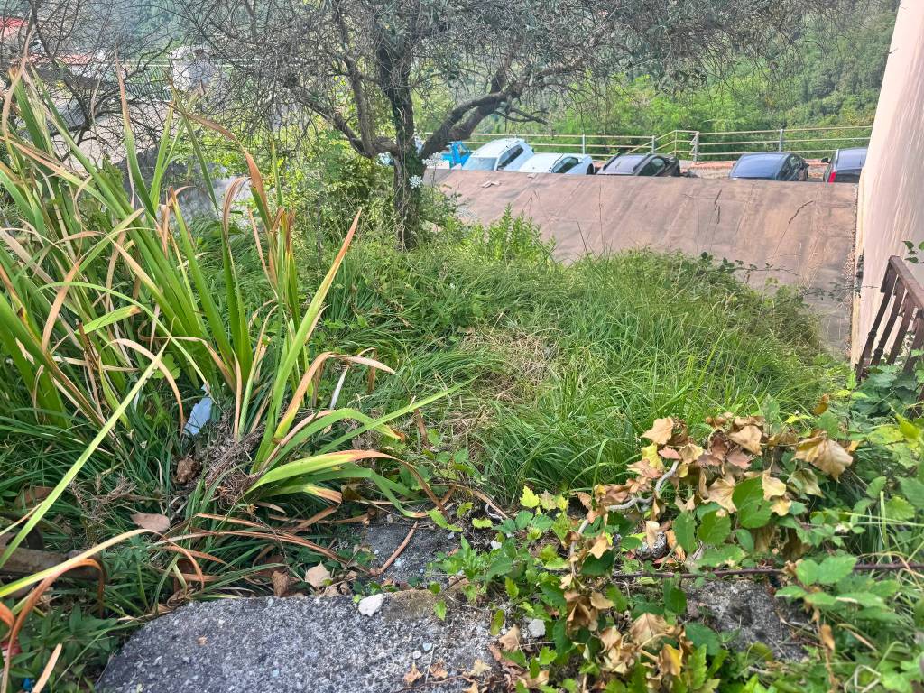 Casa indipendente a Luni - Foto 2