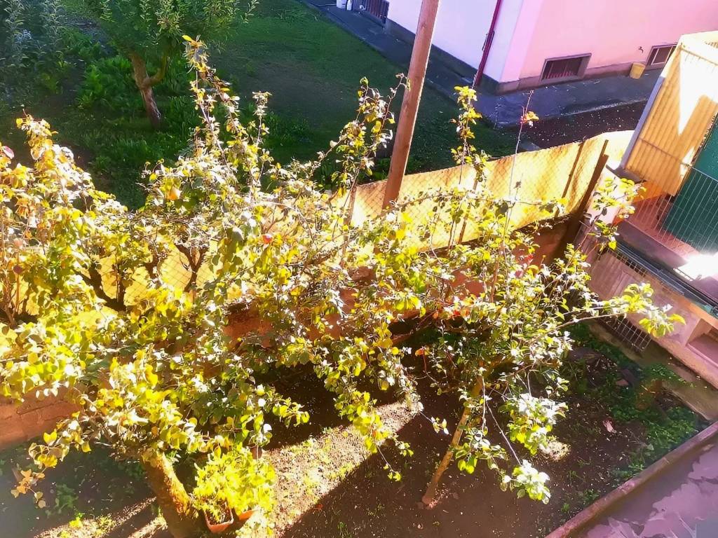 Appartamento a Avezzano in Via Lago Albano, 29 - Foto 3