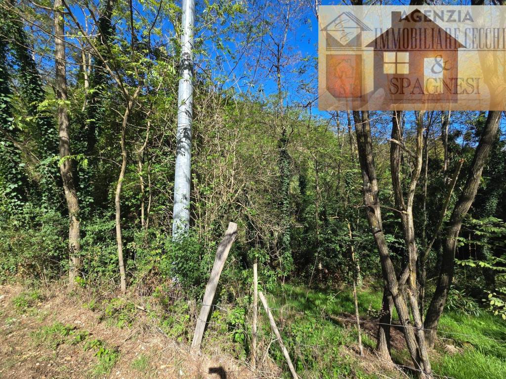 Terreno a Carmignano in Via Carmignanese - Foto 2