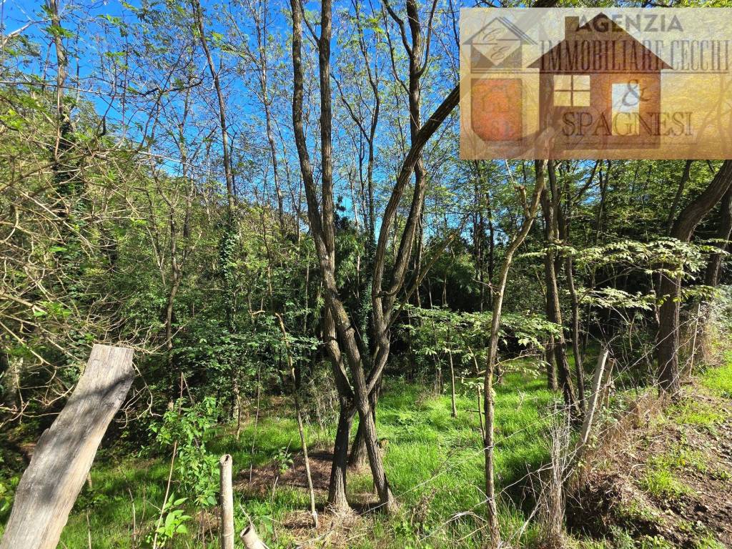 Terreno a Carmignano in Via Carmignanese - Foto 3