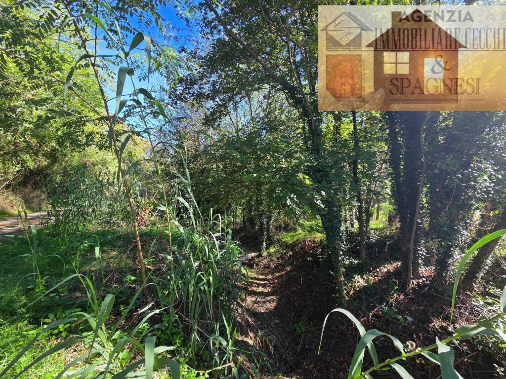 Terreno a Carmignano in Via Carmignanese - Foto 4