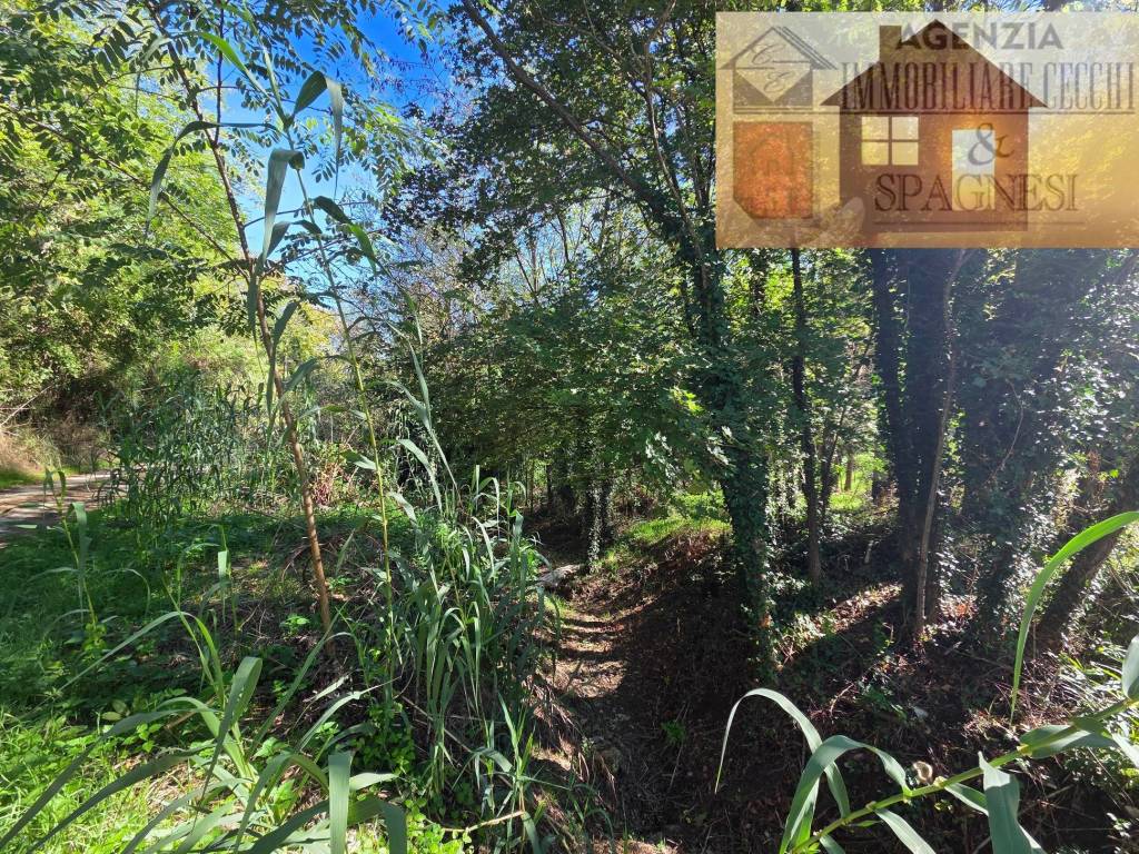 Terreno a Carmignano in Via Carmignanese - Foto 5