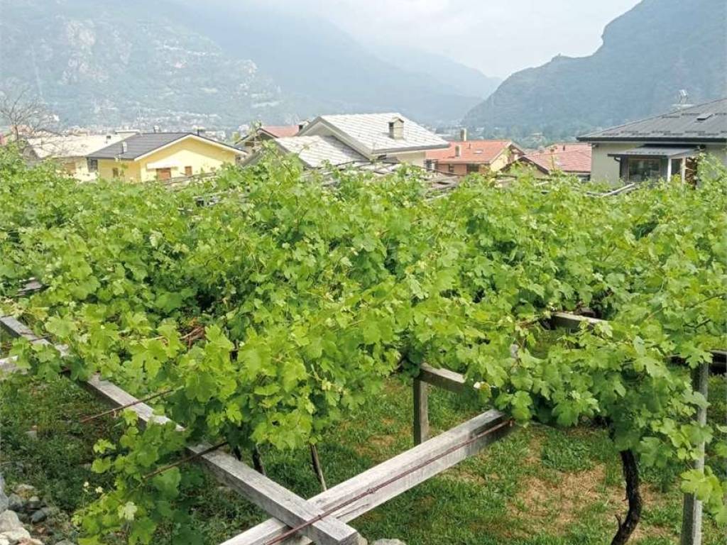 Terreno a Donnas in Via Caresani - Foto 5