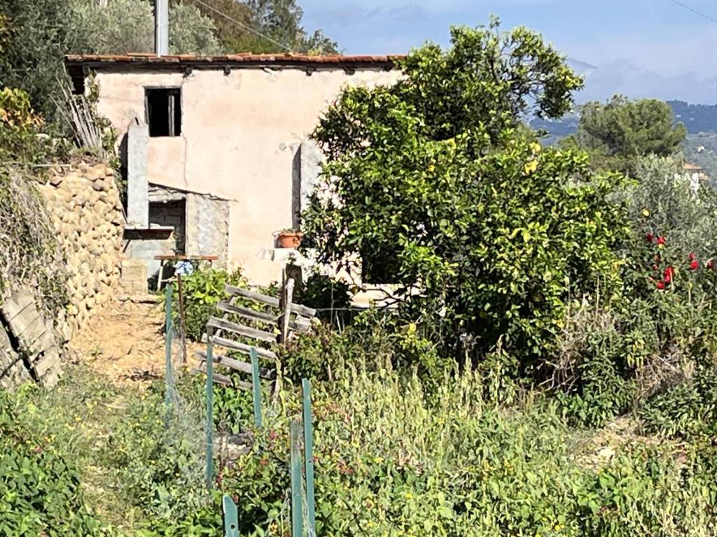 Terreno a Camporosso in Strada degli Olandesi, loc. Bigauda - Foto 5