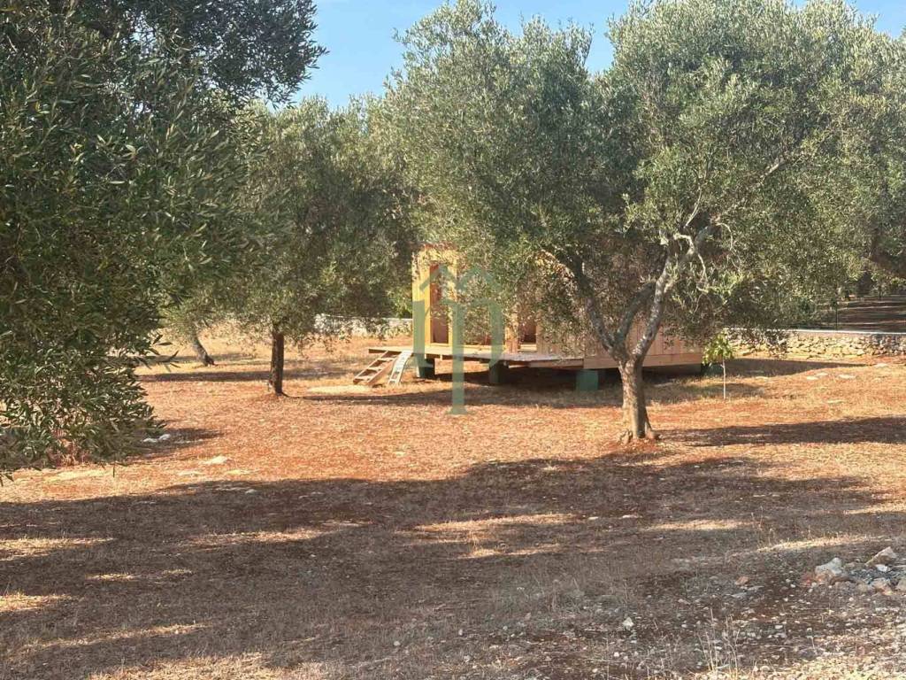 Villa a Carovigno in Contrada Favone - Foto 5