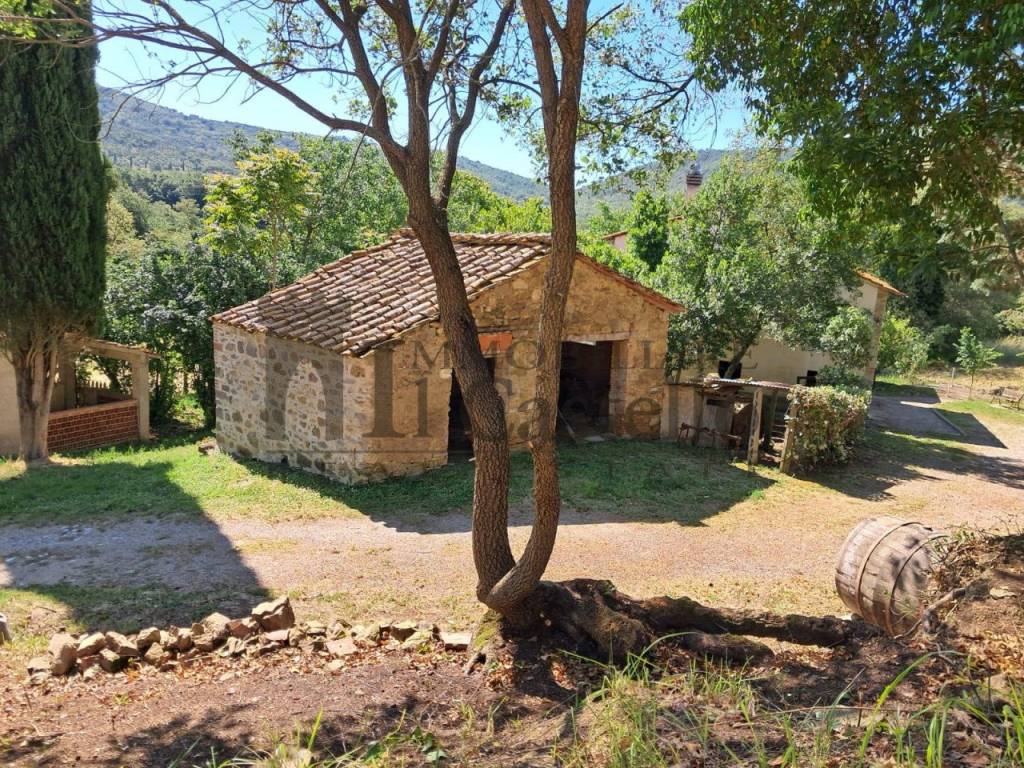 Rustico / casale a Panicale in Via dei Mandorli - Foto 3