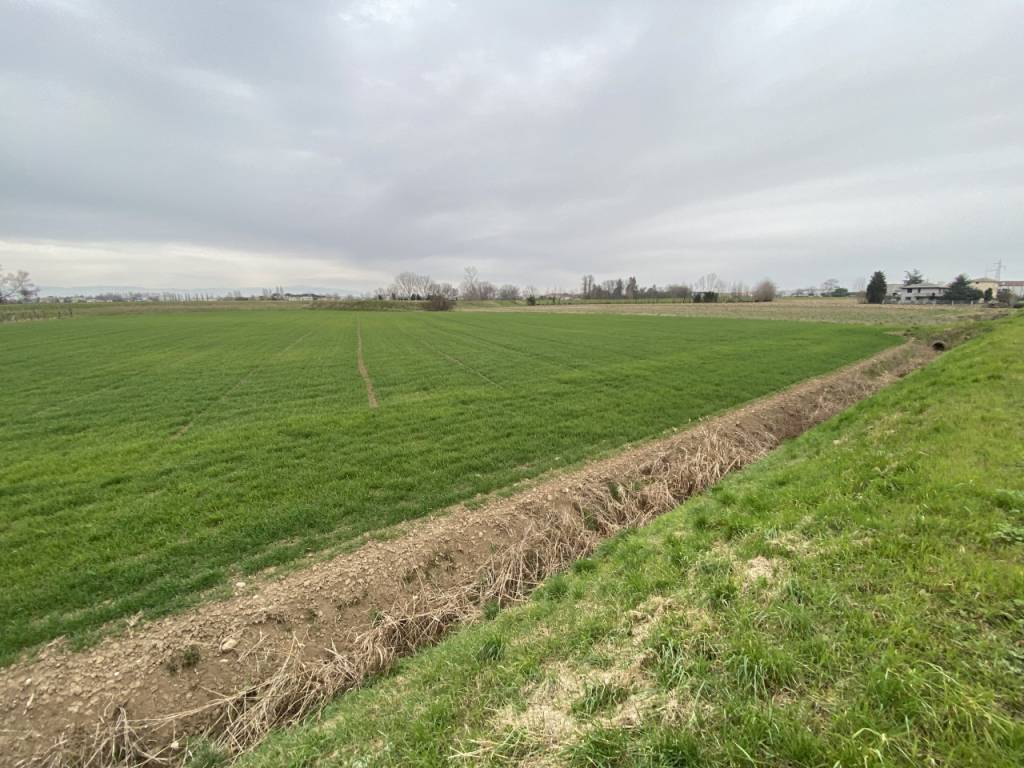 Terreno a Veggiano in Via San Zeno - Foto 2