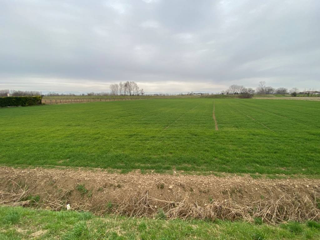 Terreno a Veggiano in Via San Zeno - Foto 3