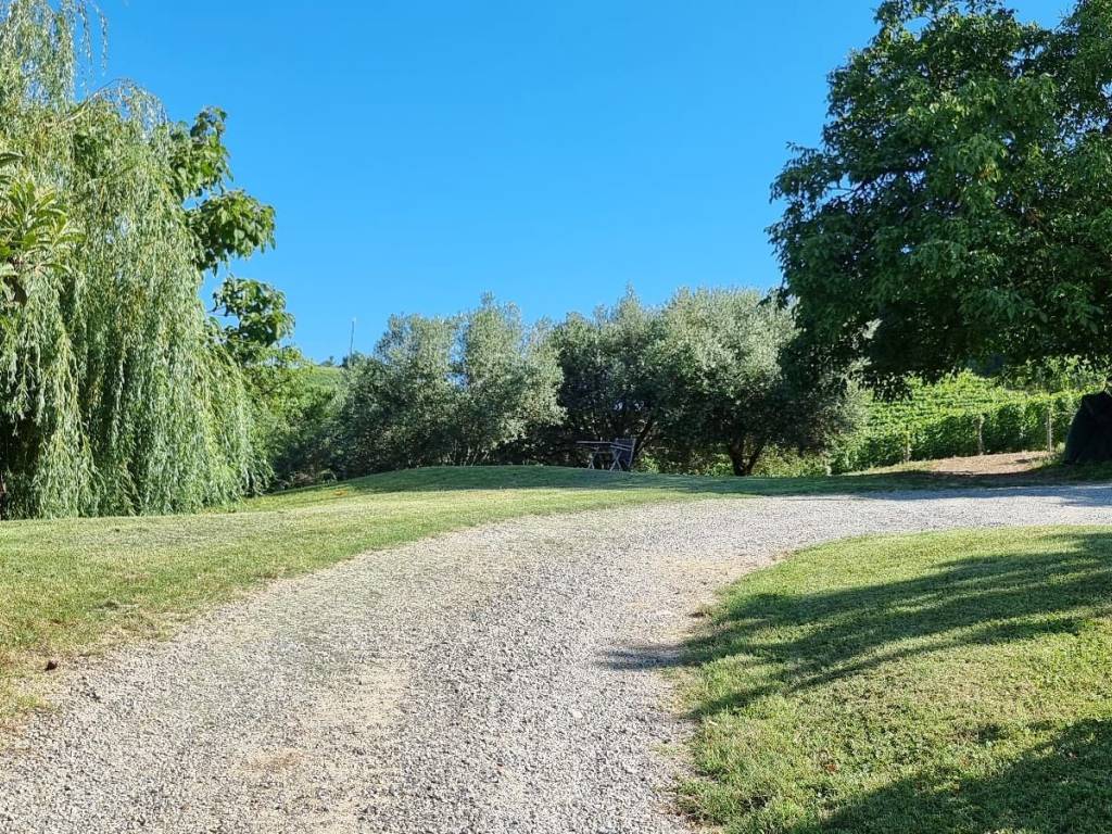 Terreno a Nizza monferrato in Strada Provinciale del Turchino - Foto 3