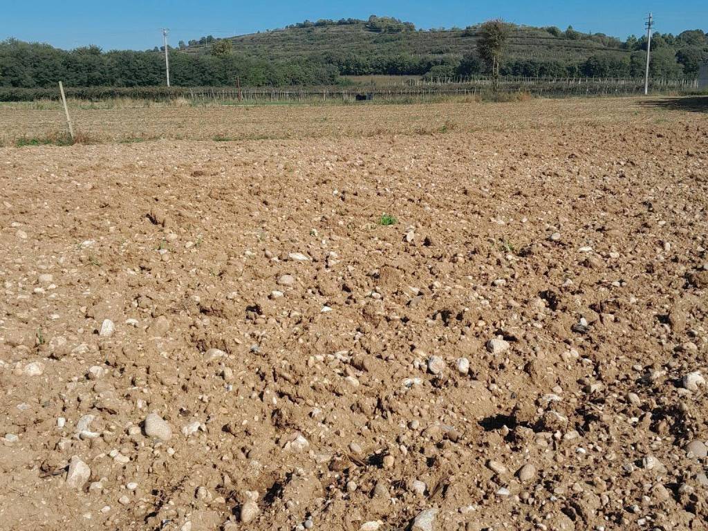 Terreno a Volta mantovana - Foto 2